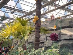 -南宫五洲植物乐园