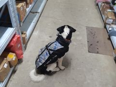 -同济大学(嘉定校区)