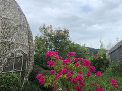 -凤翔首邑温泉度假村
