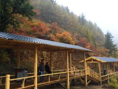 -苏木山森林公园