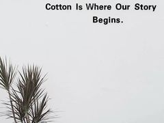 -COTTON CAFE(德信·中外公寓店)