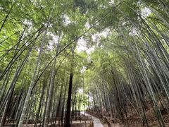 -敬亭山风景名胜区