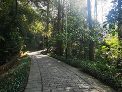 -水濂山森林公园