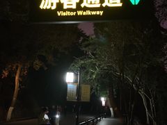 -阿捡忭京炸鸡(长沙韭菜园总店)