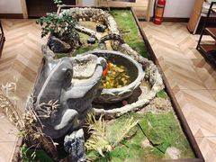 -东椰·海南椰子鸡火锅(朝阳门店)