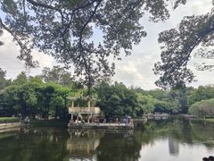 -晓港公园