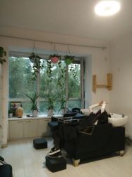 -艺时·漂发·染发·蛋白护理店