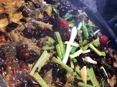 -老板恋上鱼(恒隆广场店)