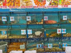 -范饭椰林川湘味海鲜·椰子鸡(三亚湾椰梦长廊店)
