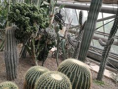 -南山植物园