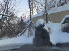 -清河半岛温泉度假酒店