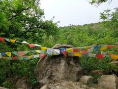 -白水寺森林公园
