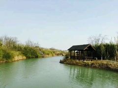 -中国扬子鳄村
