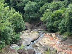 -广州白江湖森林公园