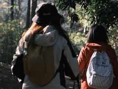 -四明山国家森林公园