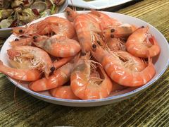 白灼虾-人和啤酒屋海鲜大排档(营口路店)