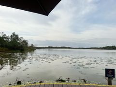 -东滩湿地公园观海楼餐厅