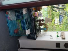 android_upload_pic-深圳大旅小舍精品艺术民宿