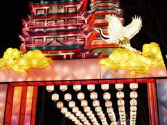 -武汉园博园(武汉自然博物馆)
