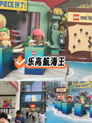 -乐高品牌旗舰店(人民广场店)