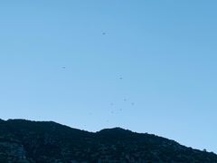 -费特希耶滑翔伞