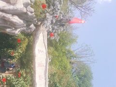 -王顺山国家森林公园