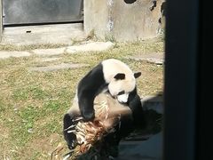 -大连森林动物园