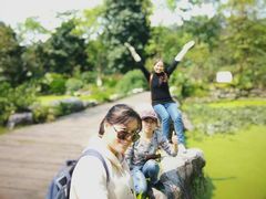 -广西壮族自治区药用植物园