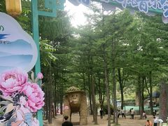 -洛阳白云山景区