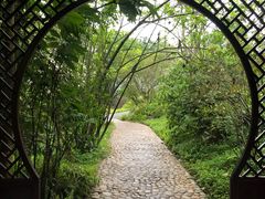 -龙山酒店温泉