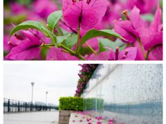-胜记菜馆(文明路)