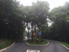 -青龙山国家森林公园