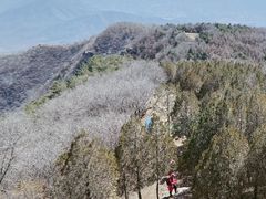 -北京鹫峰国家森林公园