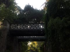 -沙市市中山公园