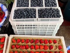 -南坛综合农贸市场