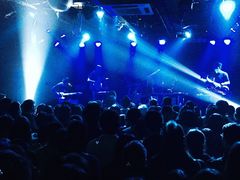 -坚果NUTS