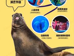 -正佳极地海洋世界