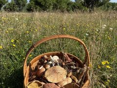 -奇迹健身(SM广场店)