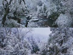 -龙苍沟森林公园
