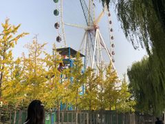 -济南国际园博园