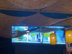 -山城柴火鸡·全鸡宴·跳水蛙(五小区店)