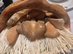 -红鼎豆捞·非遗鲍皇汤火锅(宝丰路店)