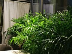 -梅花境(万科店)