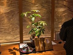 -浅深(北京北四环精品店)