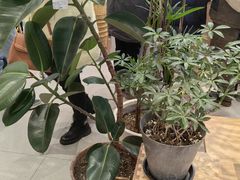 -卡旺卡(合肥瑶海保利广场店)