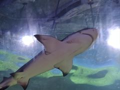 -常州海昌海洋探索馆
