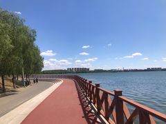 -丁香湖公园