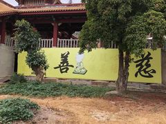 -仙岳公园