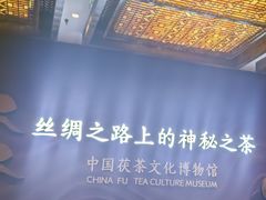 -茯茶镇