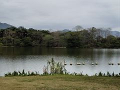 -飞来湖湿地公园